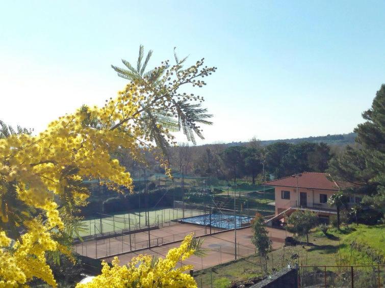 Villa Mimosa زافيرانا إتنيا المظهر الخارجي الصورة